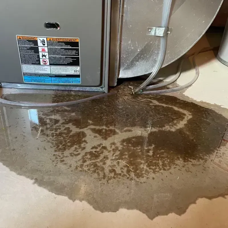 Appliance Leak Cleanup in Ferguson, MO